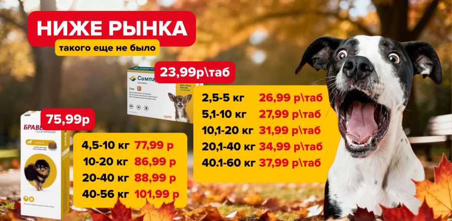 Бравекта ниже рынка